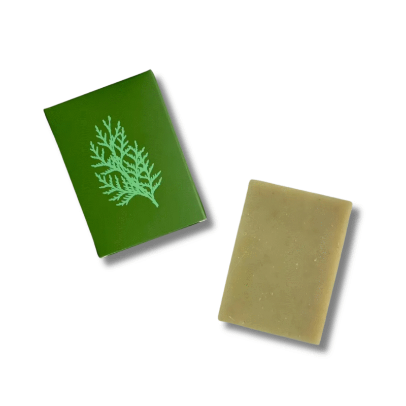 ALTR Rosemary & Cedar Soap