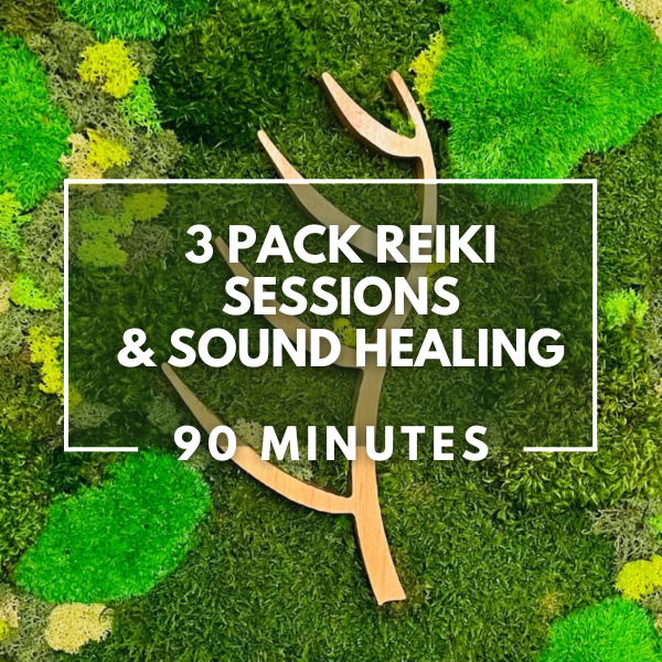 3 Pack Reiki Sessions & Sound Healing | 90 Minute Sessions