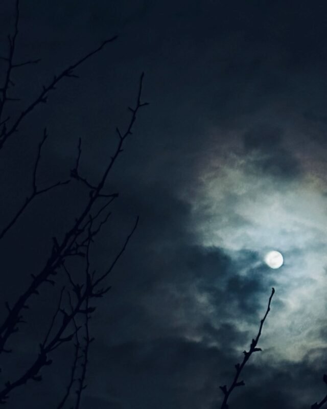 Under her silvery gaze…💙