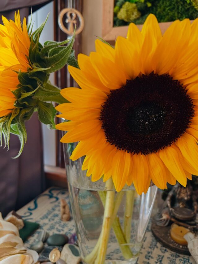 Lammas Blessings to all💚🌽🥖🌾🍎💚 Enjoy and appreciate the remaining summer days. Take a sacred pause, breathe, and use the energy of the season to gather your inner harvest and feel the abundance in your life. What are your biggest lessons… where have you grown either personally or professionally? Maybe the big energies around us are leaving you feeling exhausted or burned out! Make some time to dive into some self care, a sacred healing time for you nurture body, mind and spirit 🌹🌹🌹 Link in Bio to book today!!!
.
.
.
.
#reflexology
#soundtherapy
#reflexologist
#soundhealing
#footreflexology
#karynmalfara
#biomat
#biomatbenefits
#biomatannex
#annex
#annexreflexology
#reflexologytoronto
#tuningforks
#humantuning
#acupressure
#sisteringtoronto
#square
#transensehealingartscentre
#selfcare
#reiki
#reikinearme
#reikihealing
#holistichealth
#reflexologistnearme
#raviblanket
#weightedblanket
#biosonicstuningforks
#sprucepath
#sekhem
#reikimaster