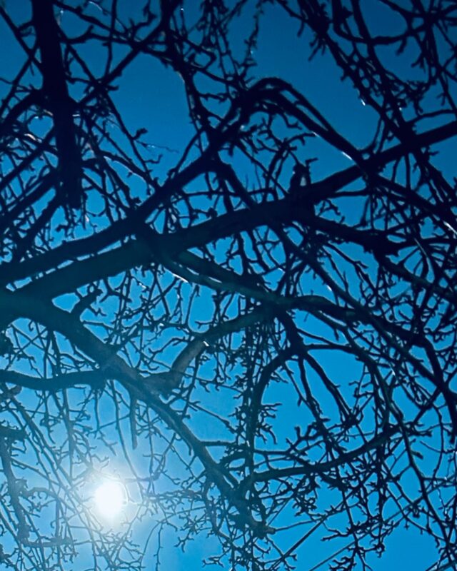 Full moon blessings 🌕💙🌕💙