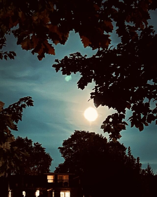 Moonlight walk on this powerful portal… 💚💚💚
.
.
.
.
#reflexology
#soundtherapy
#reflexologist
#soundhealing
#footreflexology
#karynmalfara
#biomat
#biomatbenefits
#biomatannex
#annex
#annexreflexology
#reflexologytoronto
#tuningforks
#humantuning
#acupressure
#sisteringtoronto
#square
#transensehealingartscentre
#reiki
#reikinearme
#reikihealing
#holistichealth
#reflexologistnearme
#raviblanket
#weightedblanket
#biosonicstuningforks
#sprucepath
#bloorandspadina
#sekhem
#reikimaster