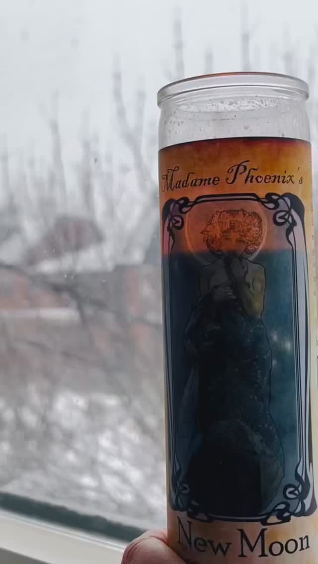Still wintering…💙❄️💙#madamephoenix #newmoon #snowday