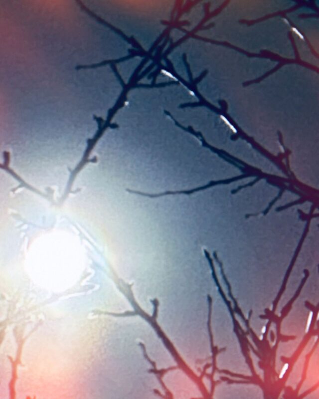 She is whispering…be still my beloved. I am with you, and you are with me…we are one. 🌕 #coldmoon2025