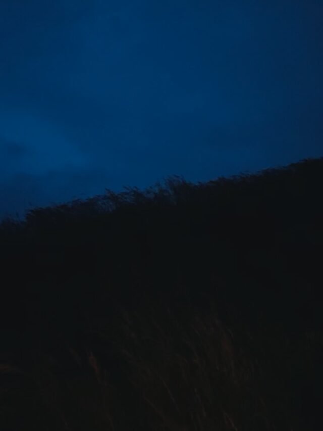 Night wandering in Avalon…💚#glastonburytor